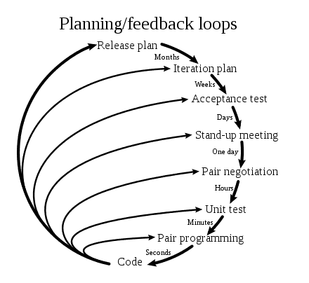 feedback loops in programming