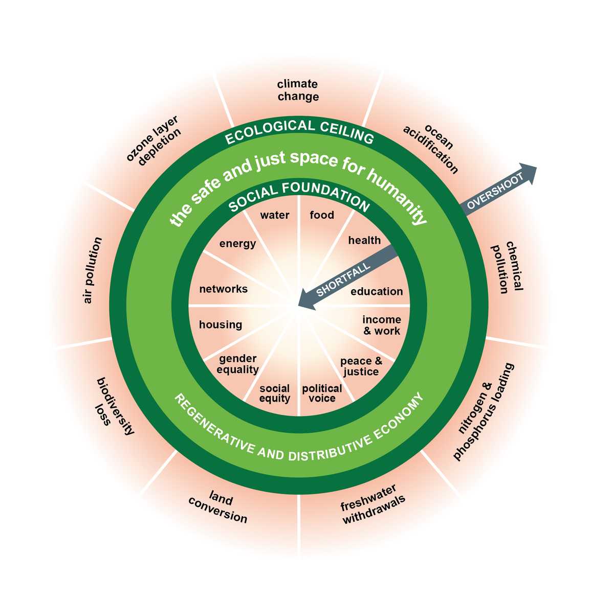 Doughnut economics diagram